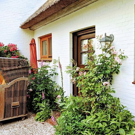 Ferienhaus Ebbe Und Flut, Terrassen-Whg Nieblum Exterior photo