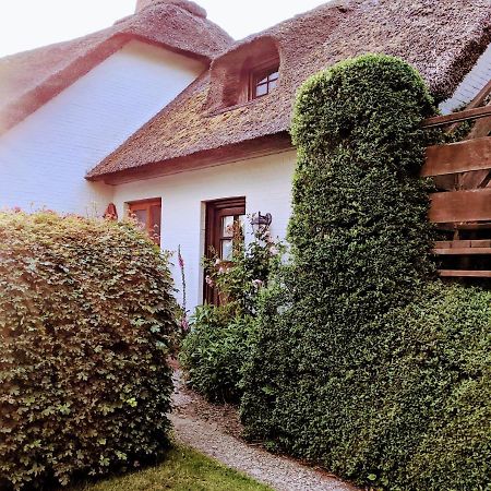 Ferienhaus Ebbe Und Flut, Terrassen-Whg Nieblum Exterior photo